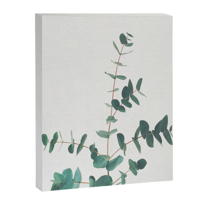 Eucalyptus Canvas Print Gallery Image 7
