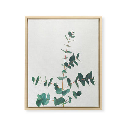 Eucalyptus Framed Canvas Print Gallery Image 23