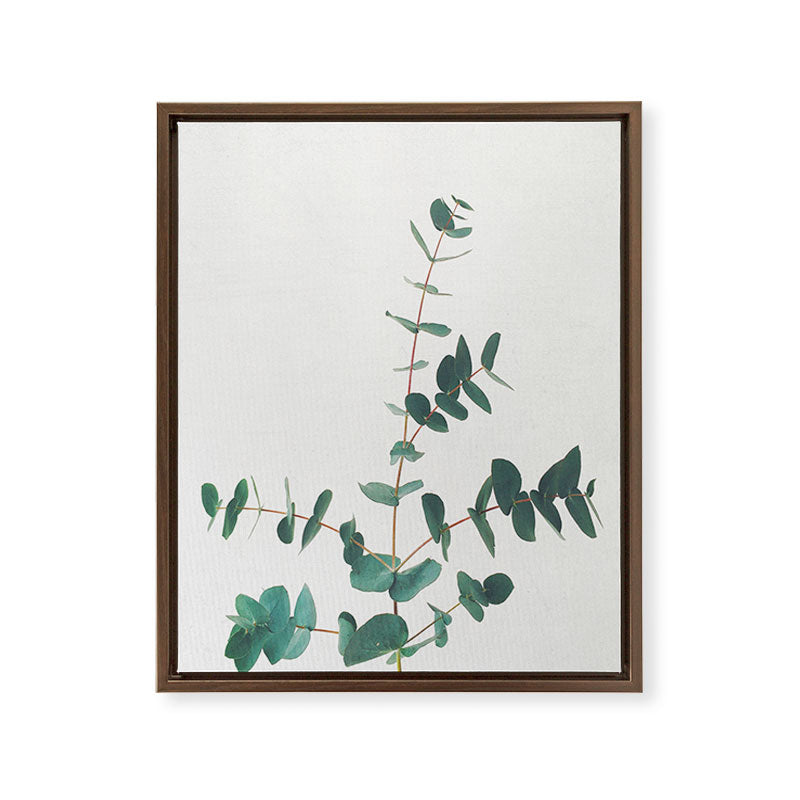 Eucalyptus Framed Canvas Print Gallery Image 16