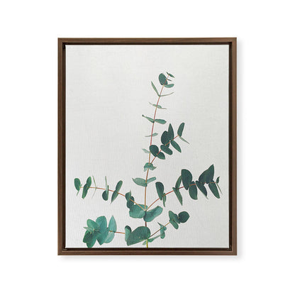 Eucalyptus Framed Canvas Print Gallery Image 16