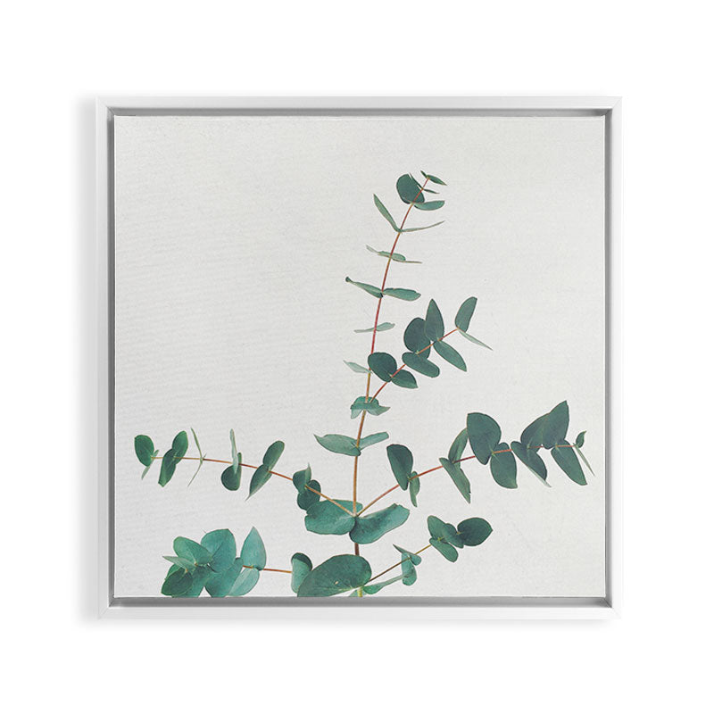 Eucalyptus Framed Canvas Print Gallery Image 33