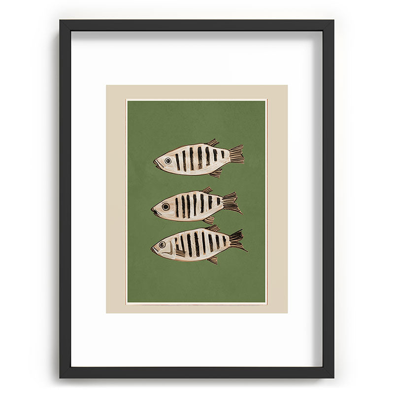Abstract Fish Study II Framed Art Print Gallery Image 60