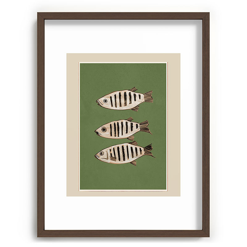 Abstract Fish Study II Framed Art Print Gallery Image 67