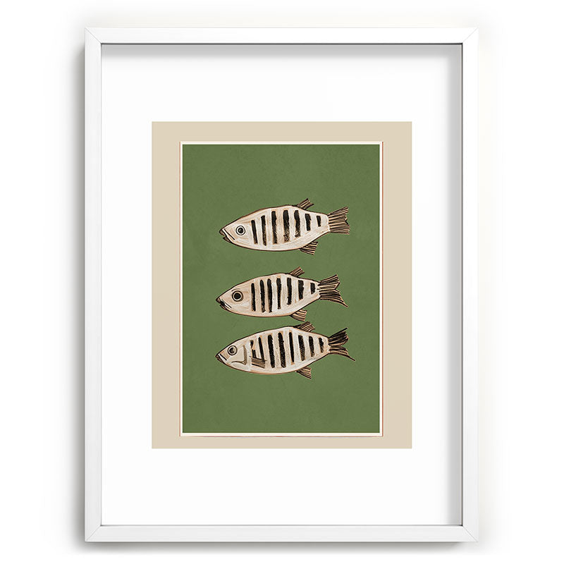 Abstract Fish Study II Framed Art Print Gallery Image 79