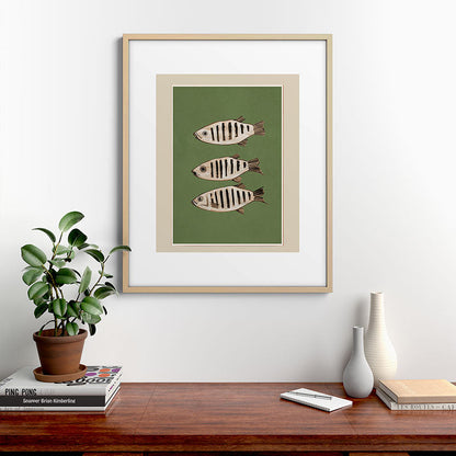 Abstract Fish Study II Framed Art Print Gallery Image 21