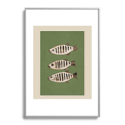 Abstract Fish Study II Framed Art Print Gallery Image 97