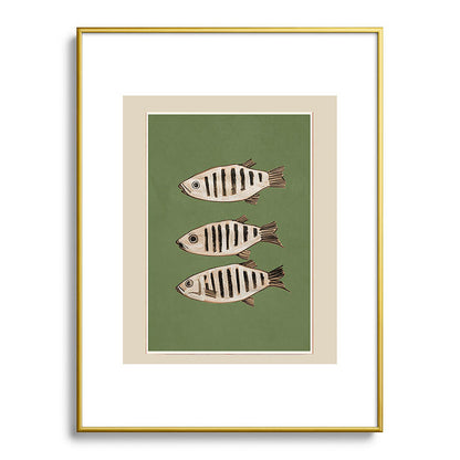 Abstract Fish Study II Framed Art Print Gallery Image 91