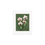 White Orchid Floral Art 4 Art Print Gallery Image 1