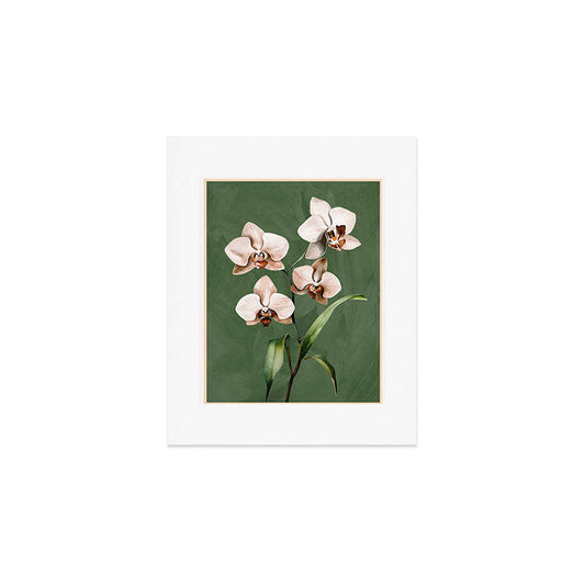 White Orchid Floral Art 4 Art Print Gallery Image 1
