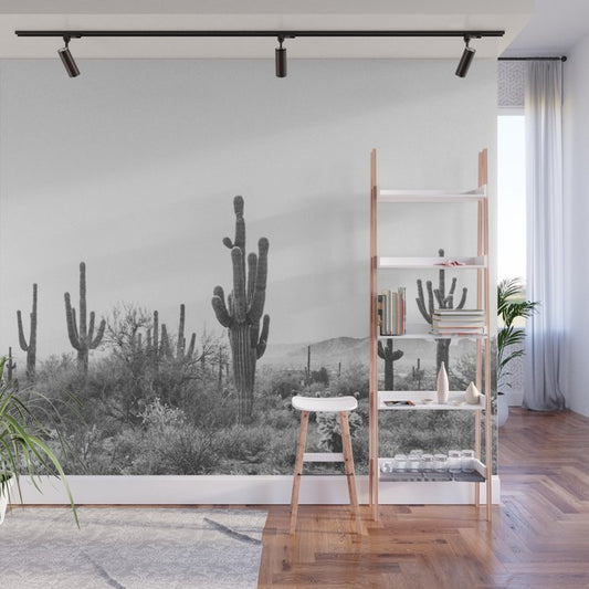 ARIZONA DESERT VI / Scottsdale Wall Mural Gallery Image 1