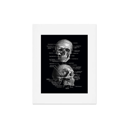 Skull Anatomy - Dark Version Art Print Gallery Image 6