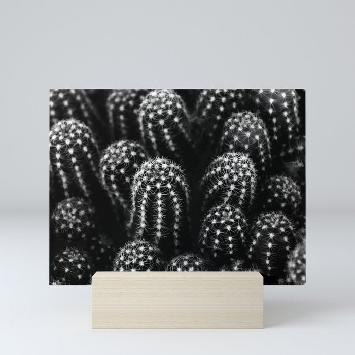 Cactus nature XIII Mini Art Print Gallery Image 5