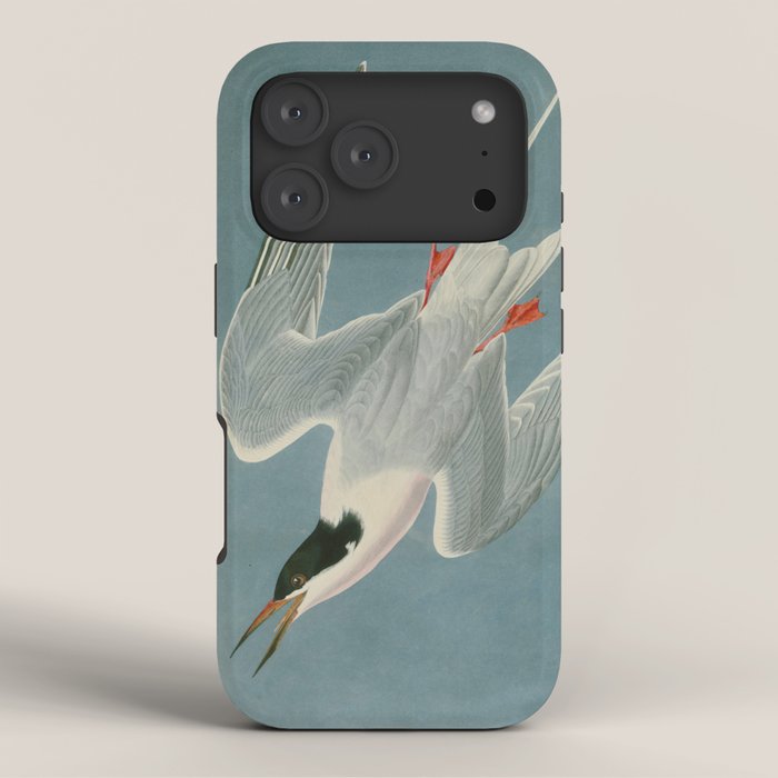 Roseate Tern - John James Audubon Birds of America iPhone Case Gallery Image 3