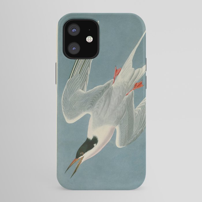 Roseate Tern - John James Audubon Birds of America iPhone Case Gallery Image 41