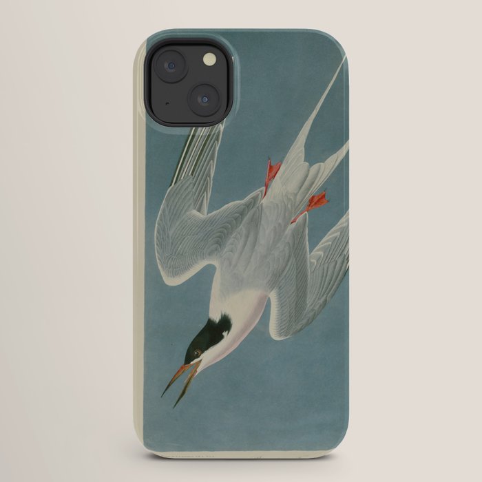 Roseate Tern - John James Audubon Birds of America iPhone Case Gallery Image 26