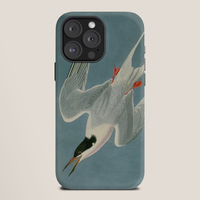 Roseate Tern - John James Audubon Birds of America iPhone Case Gallery Image 12