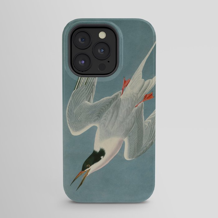 Roseate Tern - John James Audubon Birds of America iPhone Case Gallery Image 23