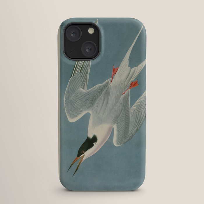 Roseate Tern - John James Audubon Birds of America iPhone Case Gallery Image 17