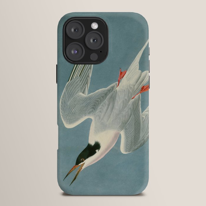 Roseate Tern - John James Audubon Birds of America iPhone Case Gallery Image 16
