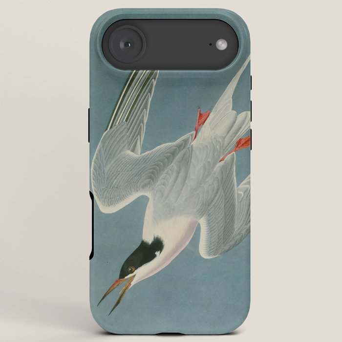 Roseate Tern - John James Audubon Birds of America iPhone Case Gallery Image 6