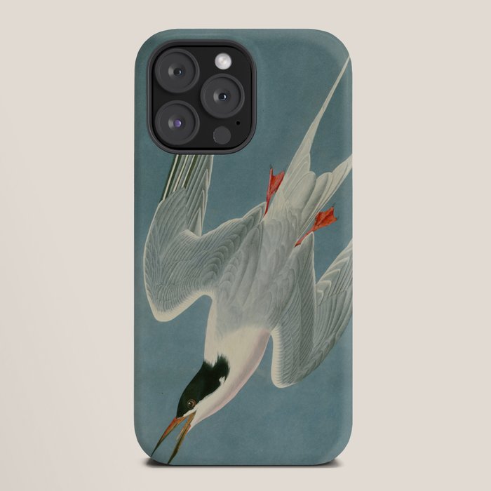 Roseate Tern - John James Audubon Birds of America iPhone Case Gallery Image 20