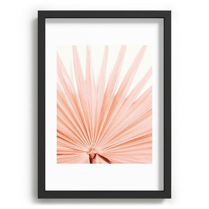 Blush Pink Fan Palm Framed Art Print Gallery Image 59