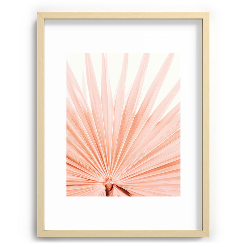 Blush Pink Fan Palm Framed Art Print Gallery Image 72