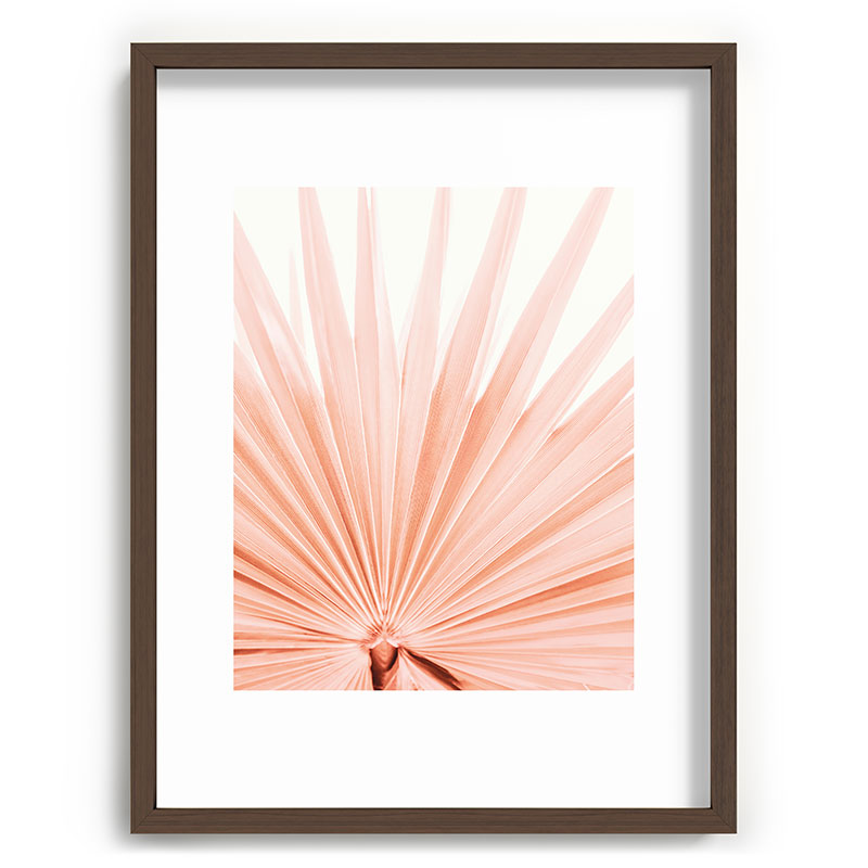 Blush Pink Fan Palm Framed Art Print Gallery Image 66