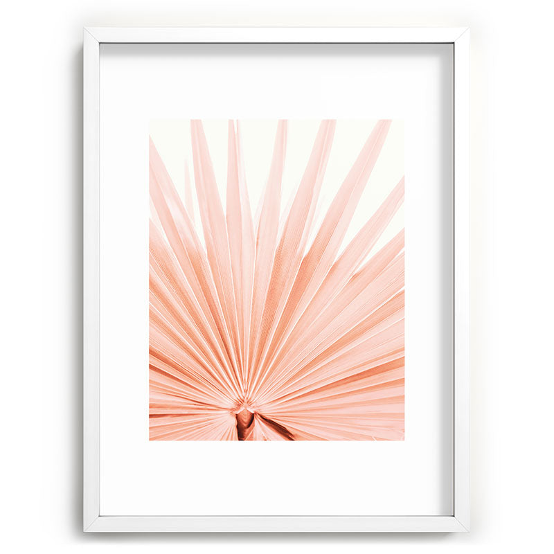 Blush Pink Fan Palm Framed Art Print Gallery Image 79