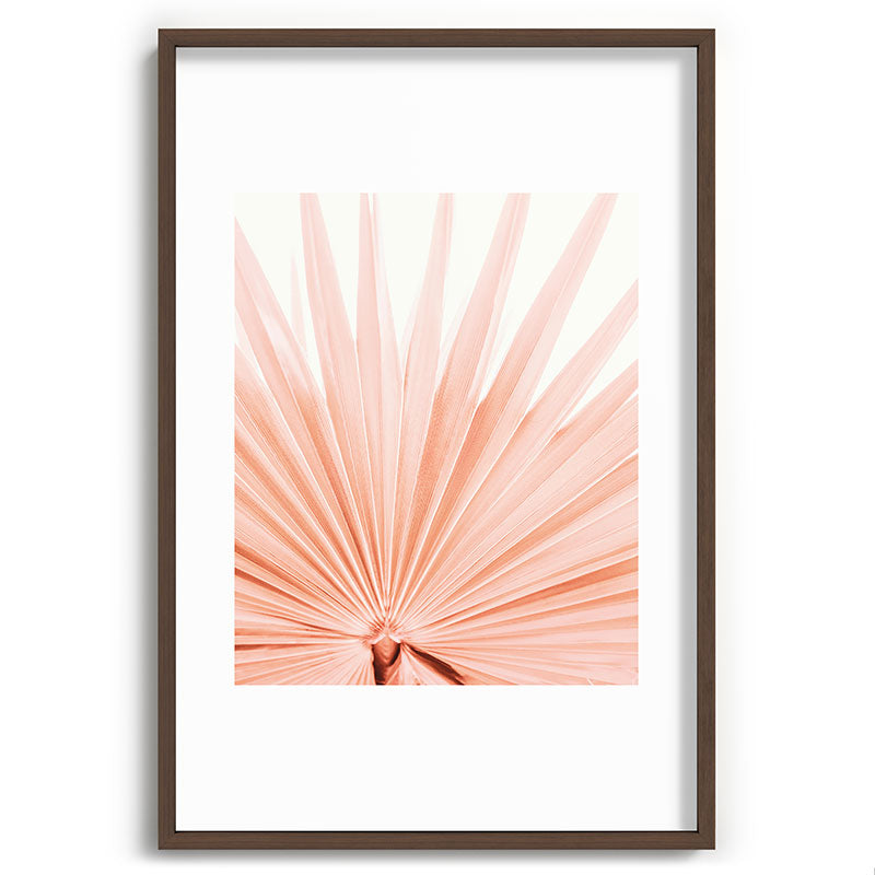 Blush Pink Fan Palm Framed Art Print Gallery Image 68