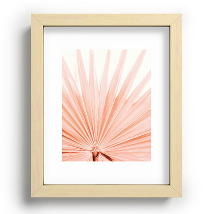 Blush Pink Fan Palm Framed Art Print Gallery Image 69