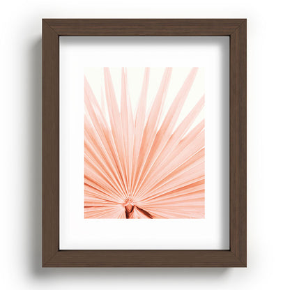 Blush Pink Fan Palm Framed Art Print Gallery Image 64