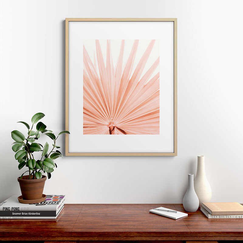 Blush Pink Fan Palm Framed Art Print Gallery Image 21