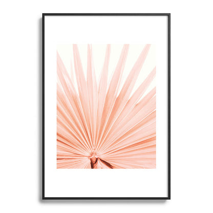 Blush Pink Fan Palm Framed Art Print Gallery Image 83