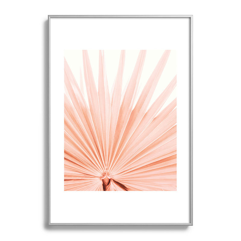 Blush Pink Fan Palm Framed Art Print Gallery Image 97