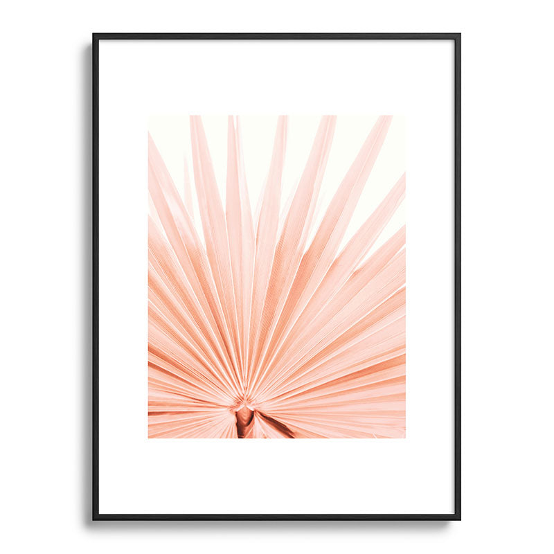 Blush Pink Fan Palm Framed Art Print Gallery Image 84