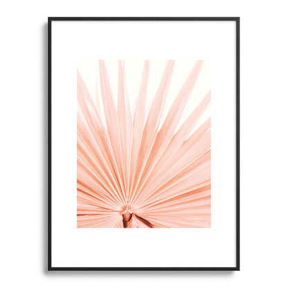 Blush Pink Fan Palm Framed Art Print Gallery Image 84