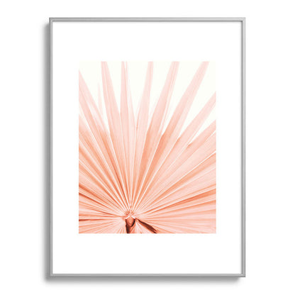Blush Pink Fan Palm Framed Art Print Gallery Image 99