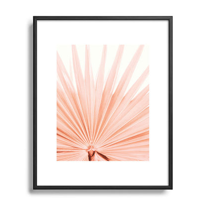 Blush Pink Fan Palm Framed Art Print Gallery Image 82