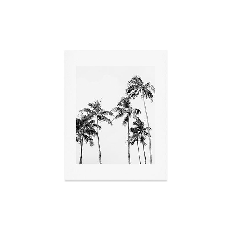 Palm Trees - Black and White Photography Art Print Gallery Image 3