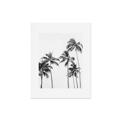 Palm Trees - Black and White Photography Art Print Gallery Image 4
