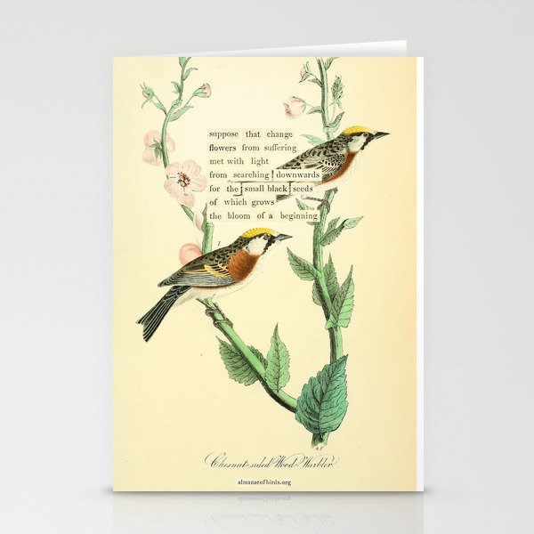 Bird Divinations: Chestnut-Sided Wood Warbler (about: almanacofbirds.org) Stationery Card Gallery Image 2