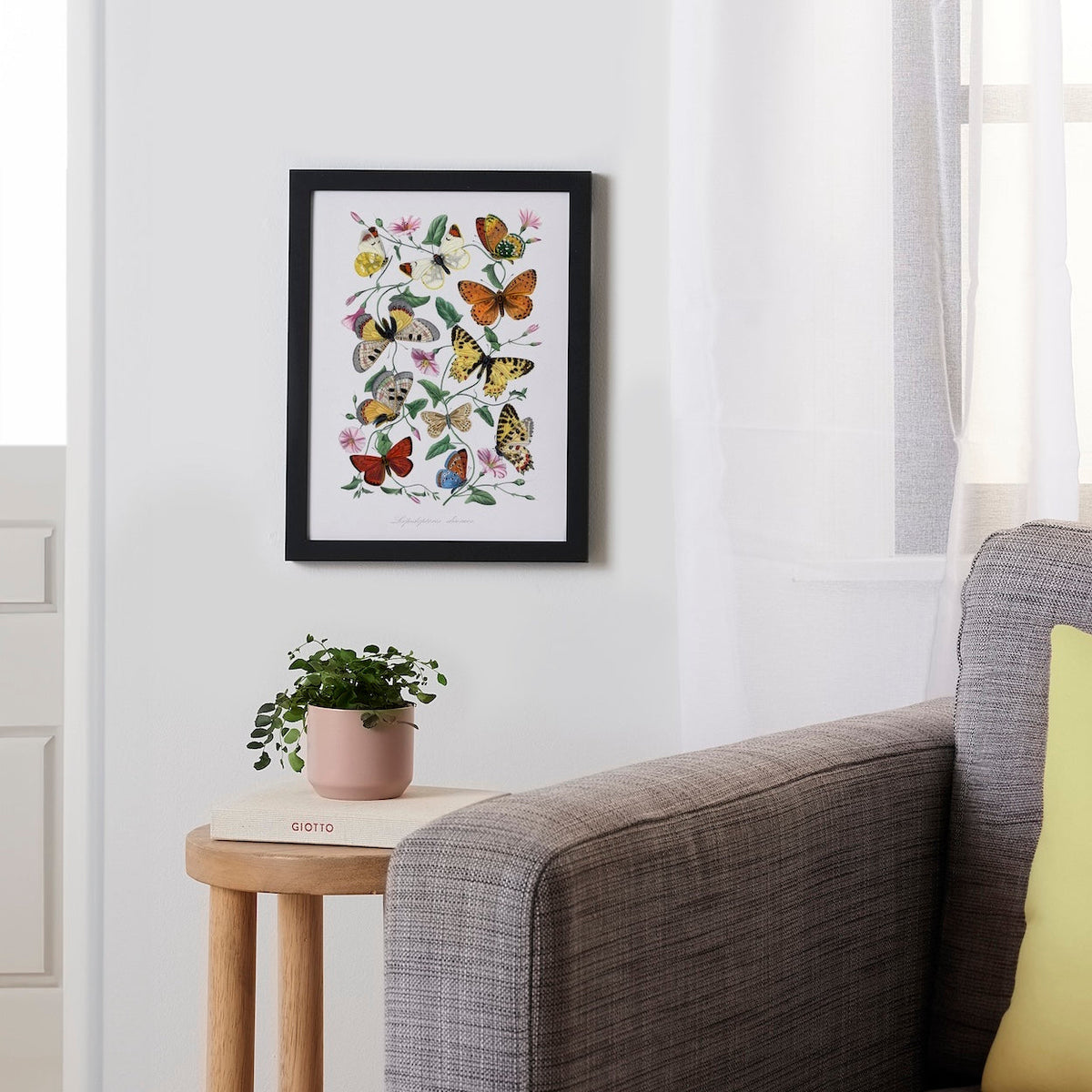 Butterfly & Moth By Paul Gervais Framed Poster 9x12