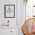 Cattleya Orchids By Paul Gervais Framed Poster 12x16