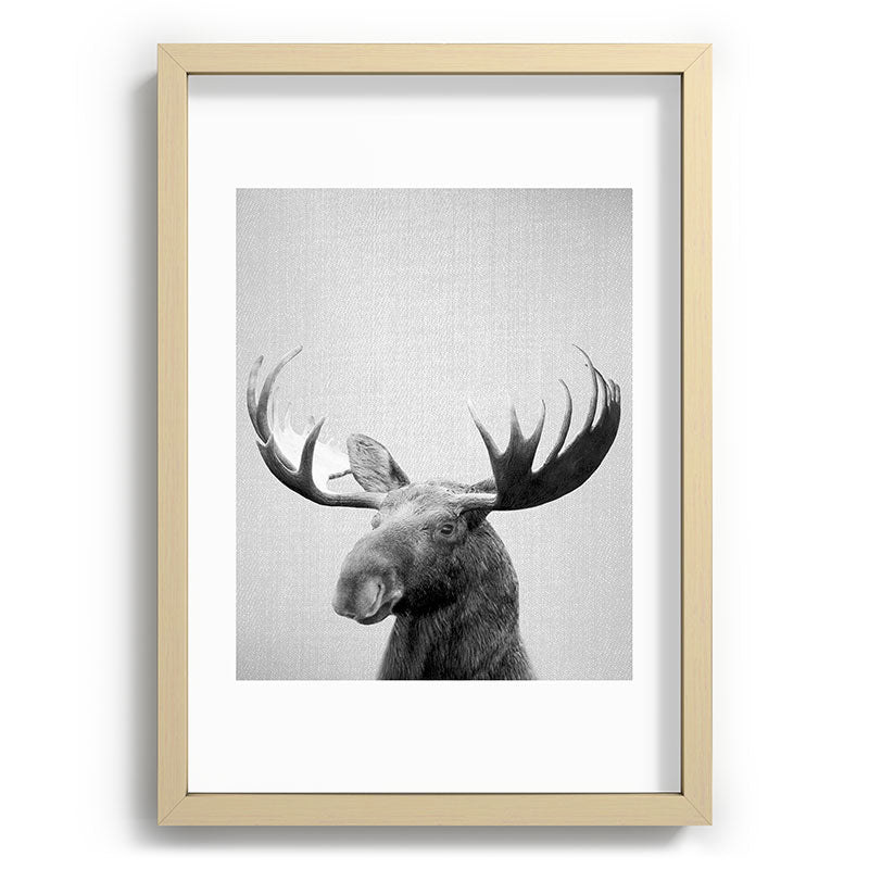 Moose - Black & White Framed Art Print Gallery Image 97