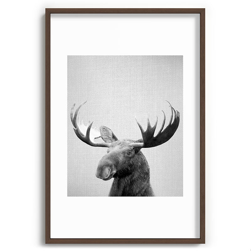 Moose - Black & White Framed Art Print Gallery Image 94