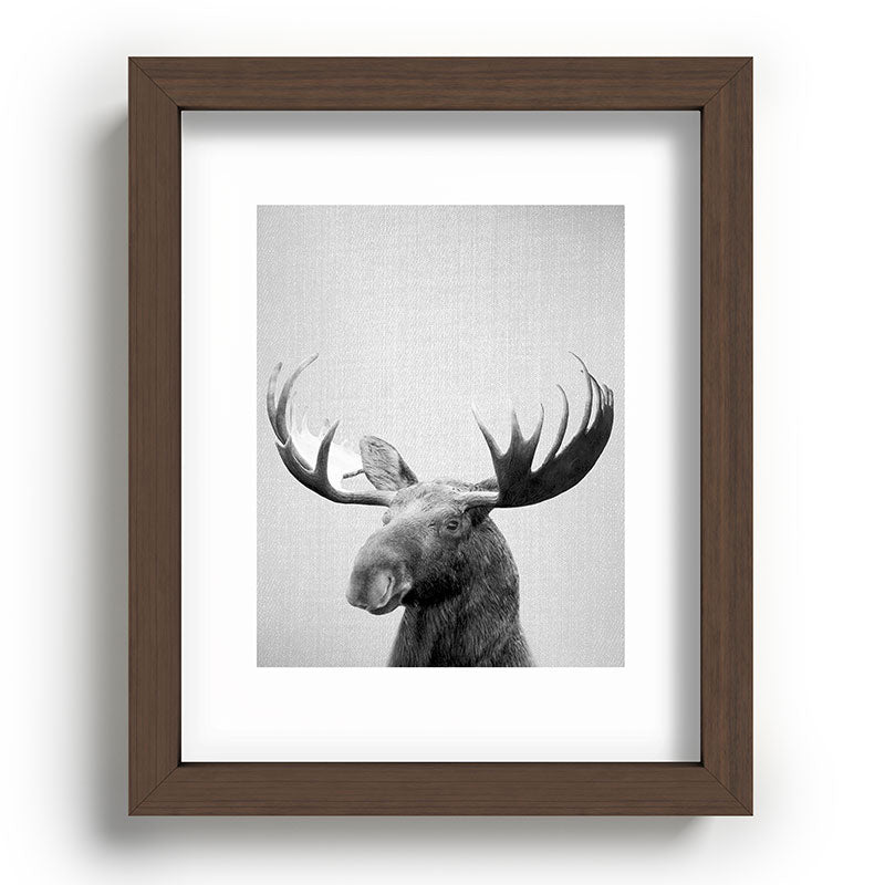 Moose - Black & White Framed Art Print Gallery Image 88