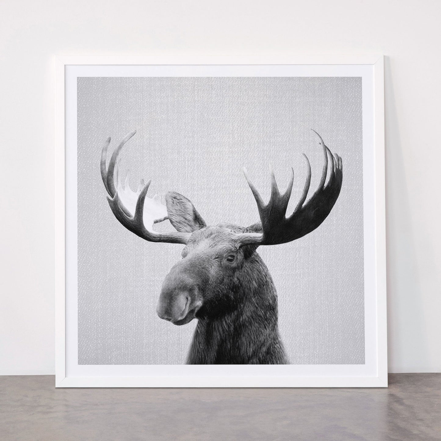 Moose - Black & White Framed Art Print Gallery Image 87
