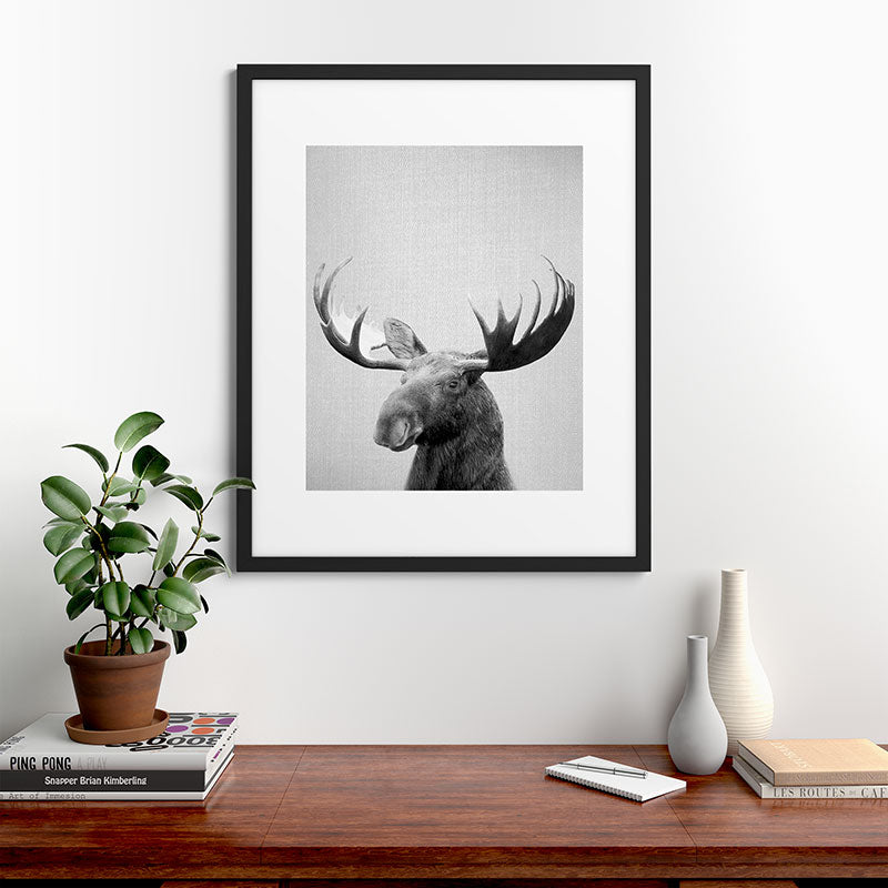 Moose - Black & White Framed Art Print Gallery Image 48