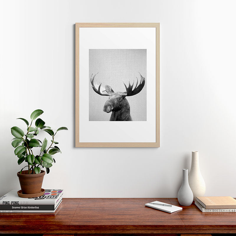 Moose - Black & White Framed Art Print Gallery Image 65